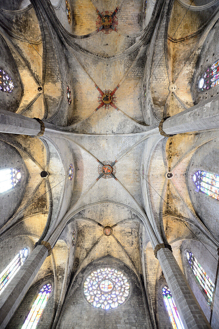 Arched roof of church Santa Maria del Mar, interior, Gothic architecture, La Ribera, Barcelona, Catalonia, Spain