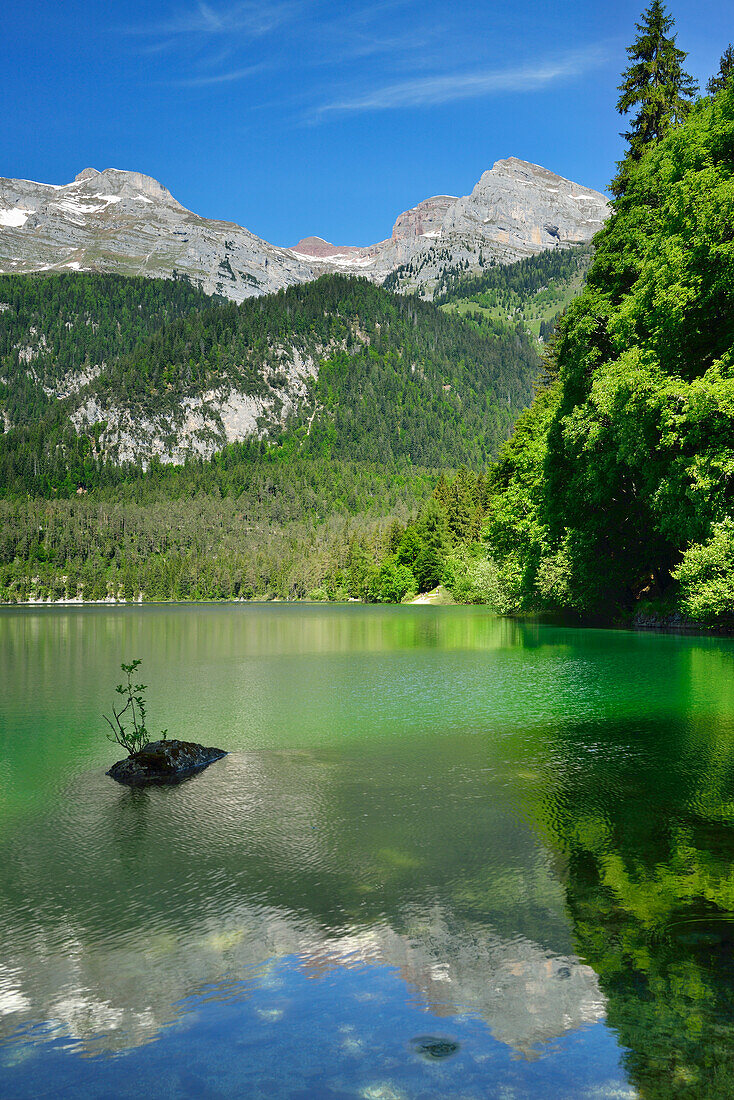 Lake Tovel with Brenta range, lake Tovel, Brenta range, Brenta, Dolomites, UNESCO World Heritage Site Dolomites, Trentino, Italy