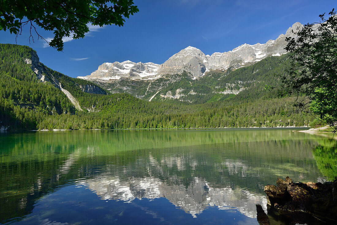 Lake Tovel with Brenta range, lake Tovel, Brenta range, Brenta, Dolomites, UNESCO World Heritage Site Dolomites, Trentino, Italy