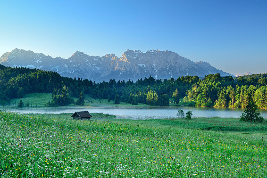Flowering meadow and haystack at lake Geroldsee, Karwendel range in background, lake Geroldsee, Werdenfels, Garmisch-Partenkirchen, Bavarian Alps, Upper Bavaria, Bavaria, Germany