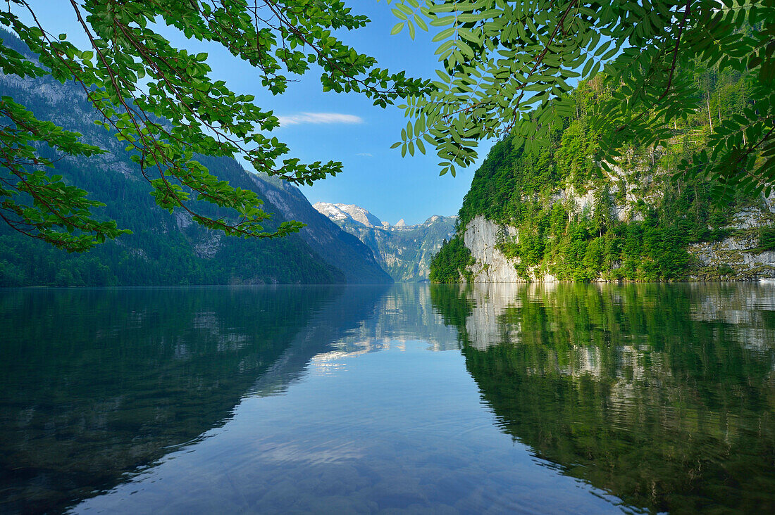 Königssee mit Steinernes Meer und Schönfeldspitze, Königssee, Berchtesgadener Alpen, Nationalpark Berchtesgaden, Berchtesgaden, Oberbayern, Bayern, Deutschland