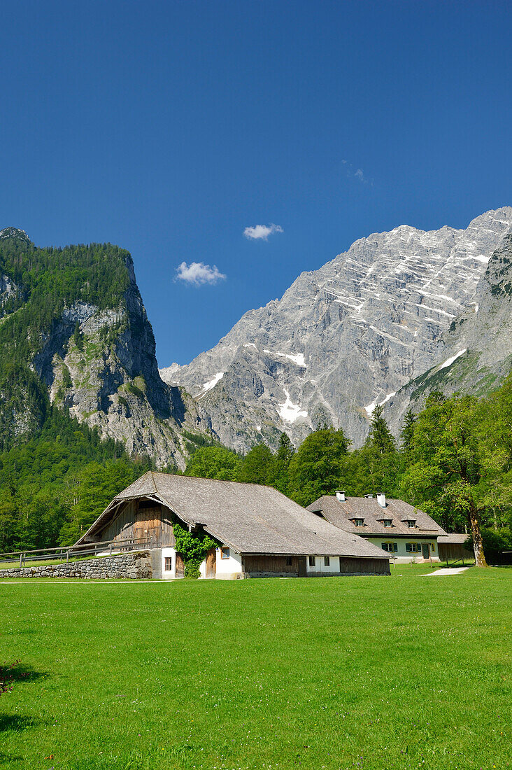 Bauernhof am Königssee mit Hachelköpfe und Watzmann mit Watzmann-Ostwand, St. Bartholomä, Königssee, Berchtesgadener Alpen, Nationalpark Berchtesgaden, Berchtesgaden, Oberbayern, Bayern, Deutschland