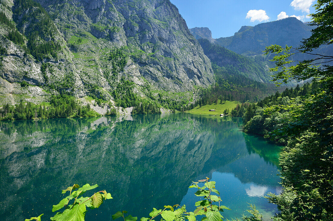 Lake Obersee, lake Koenigssee, Berchtesgaden range, National Park Berchtesgaden, Berchtesgaden, Upper Bavaria, Bavaria, Germany