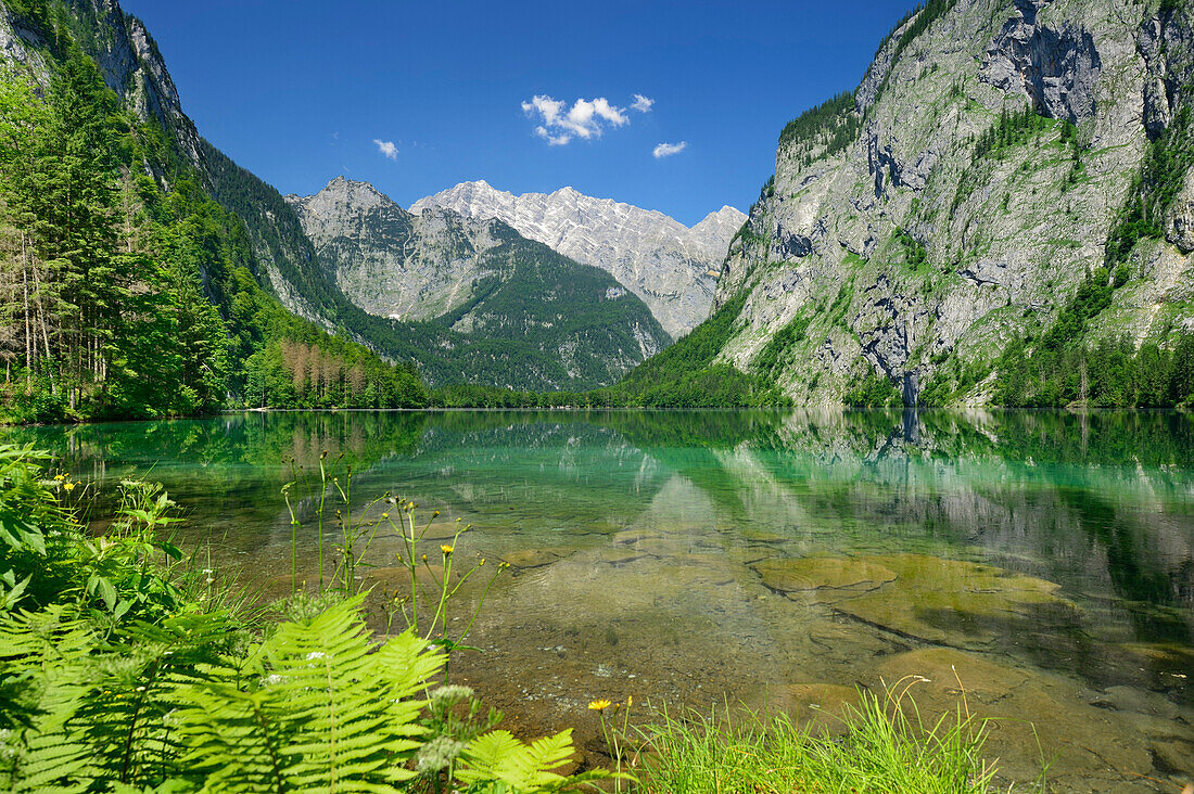 Lake Obersee with Hachelkoepfe and Watzmann, lake Obersee, lake Koenigssee, Berchtesgaden range, National Park Berchtesgaden, Berchtesgaden, Upper Bavaria, Bavaria, Germany