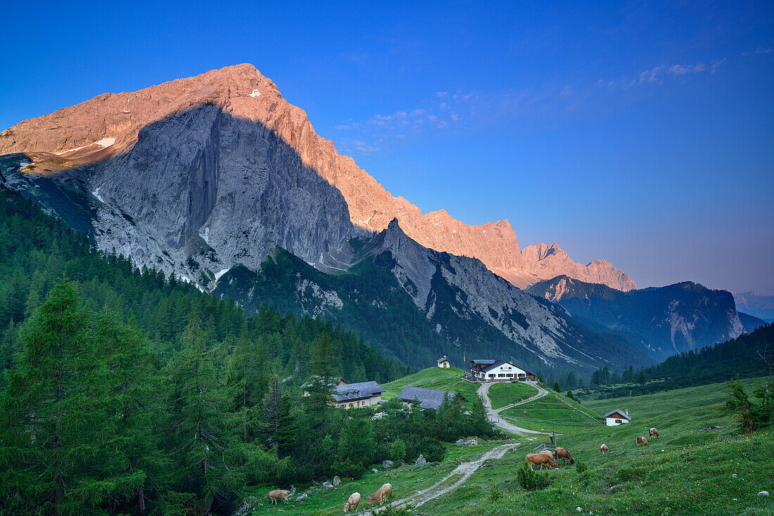 Hallerangeralm unter Großer Lafatscher, Halleranger, Karwendel, Tirol, Österreich