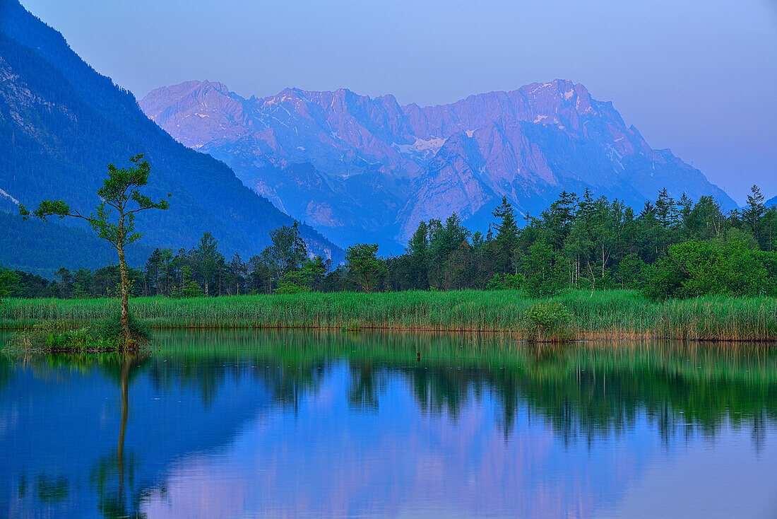 Zugspitze spiegelt sich in See, Sieben Quellen, Eschenlohe, Werdenfels, Wetterstein, Oberbayern, Bayern, Deutschland