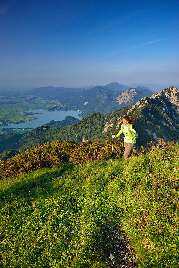 Wanderin steigt zu Heimgarten auf, Kochelsee, Benediktenwand, Jochberg und Herzogstand im Hintergrund, Oberbayern, Bayern, Deutschland