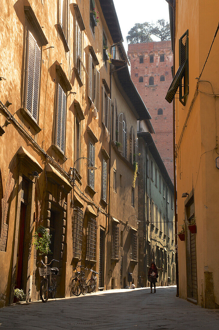 morgendliches Streiflicht in einer Gasse von Lucca mit dem Torre Guinigi, Toskana, Italien