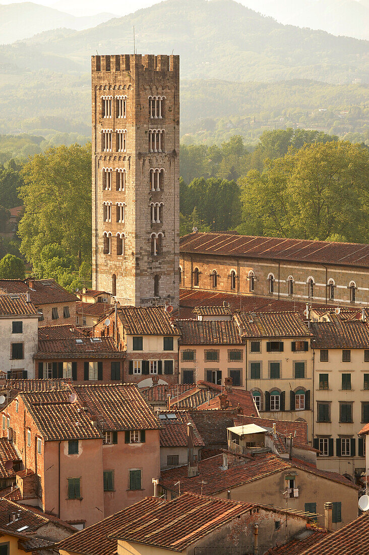Blick vom Torre Guinigi über die Dächer von Lucca, Toskana, Italien