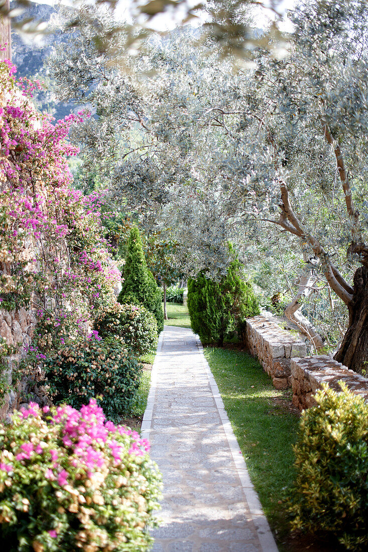 Garden of a hotel, Deia, Majorca, Spain