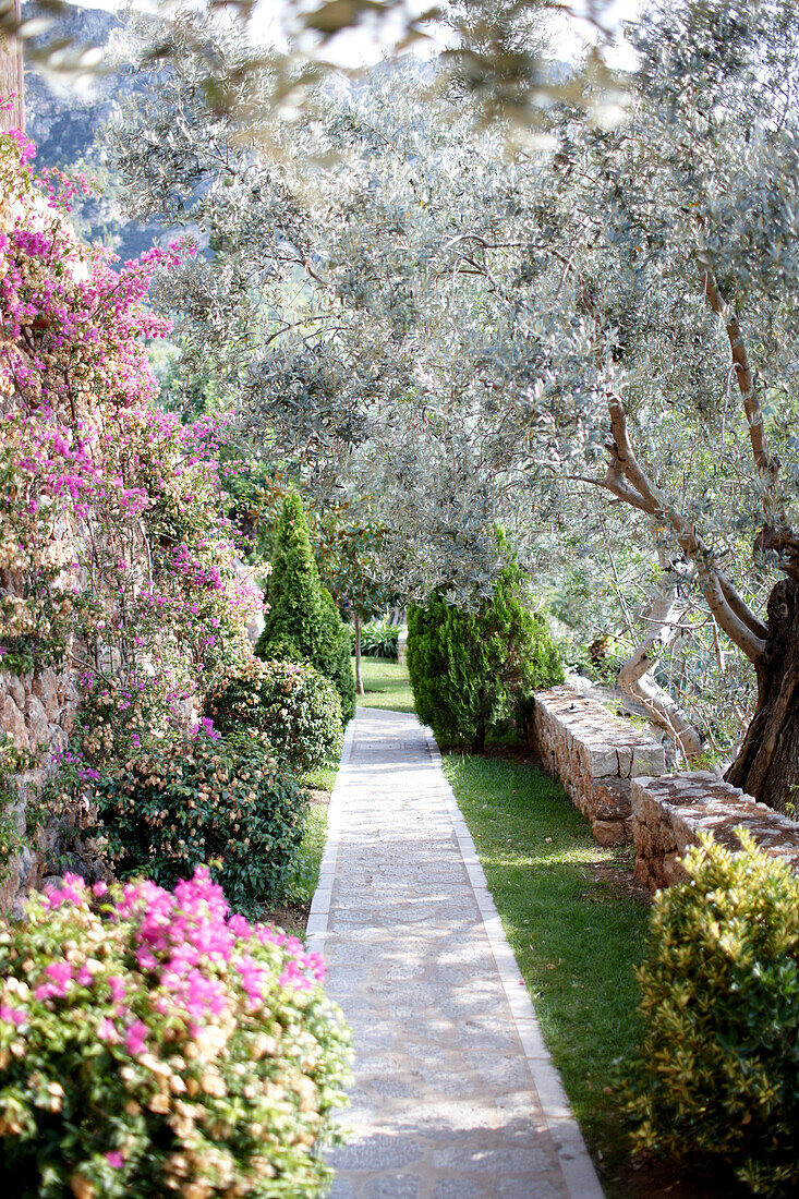 Großer Garten, Hotel La Residencia, Deia, Mallorca, Spanien