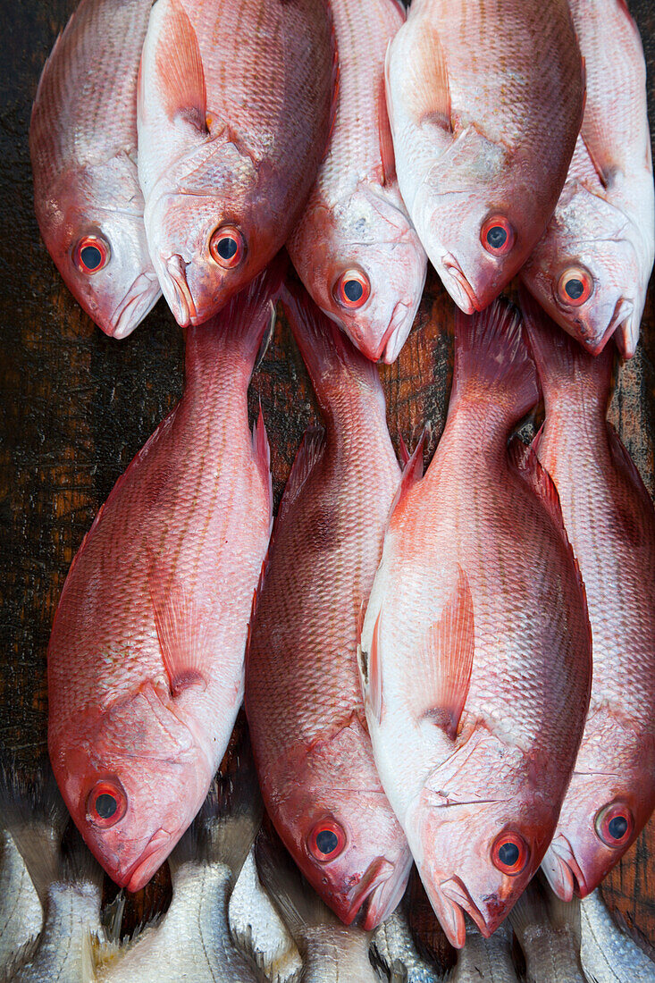 Red fish for sale at a market stand on Playa Las Hamacas beach, Acapulco, Guerrero, Mexico