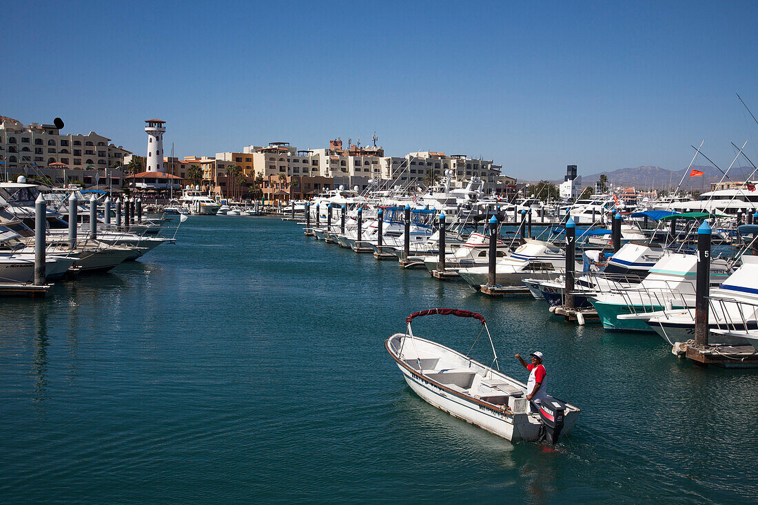 Boote und Jachten in der Marina, Cabo San Lucas, Baja California Sur, Mexiko, Mittelamerika