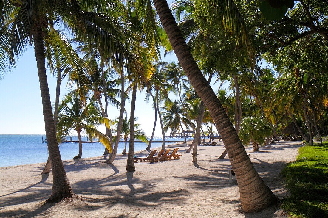 Florida, Florida Keys, US Route 1 One, Overseas Highway, Upper Matecombe Key, Islamorada, The Moorings Village and & Spa, resort, grounds, Atlantic Ocean, palm trees, beach, sand, water