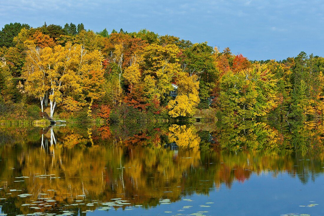 Fall foliage color reflected in a lake near Grand Rapids, Minnesota, USA