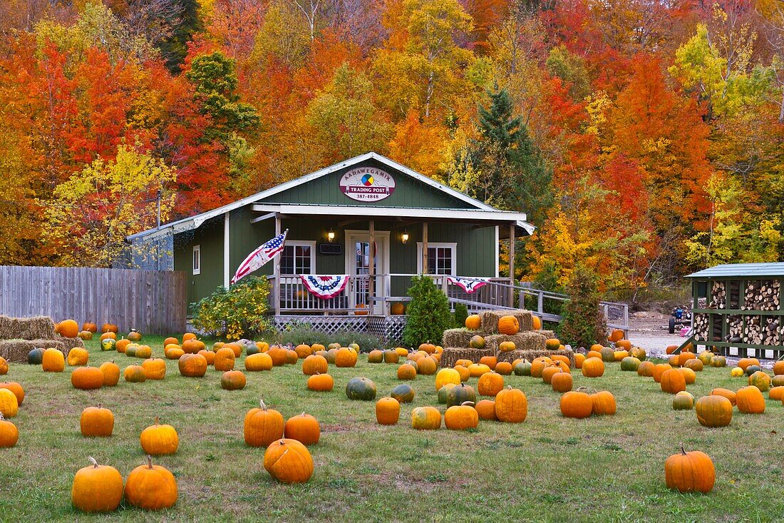 The Aadawegamik Trading Post selling pumpkins near Munising, Michigan, USA