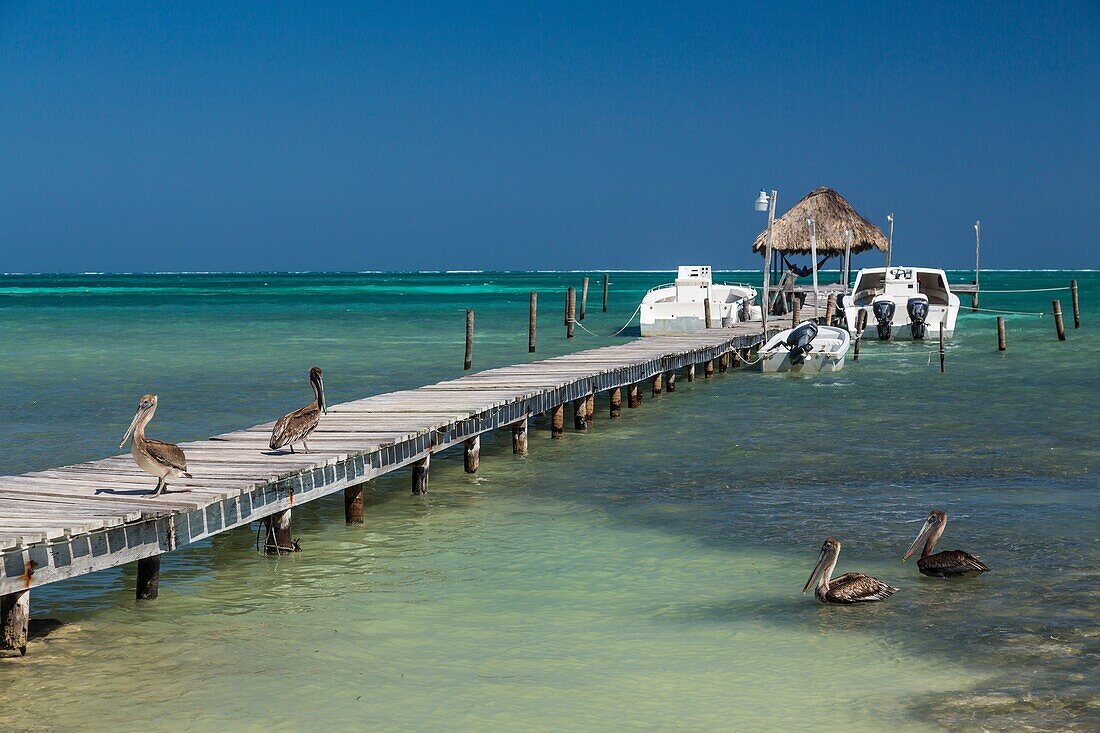 A beach pier on the island of Cay Caulker, Belize