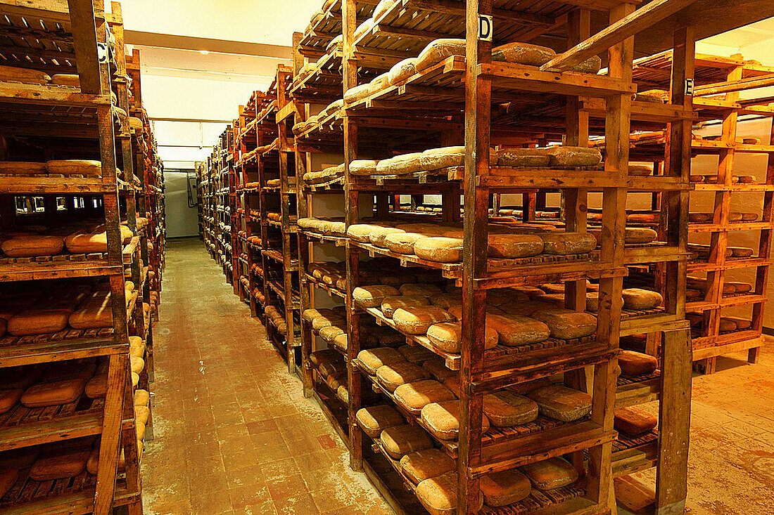 Piris cheese factory Migjorn Campos Mallorca Balearic Islands Spain