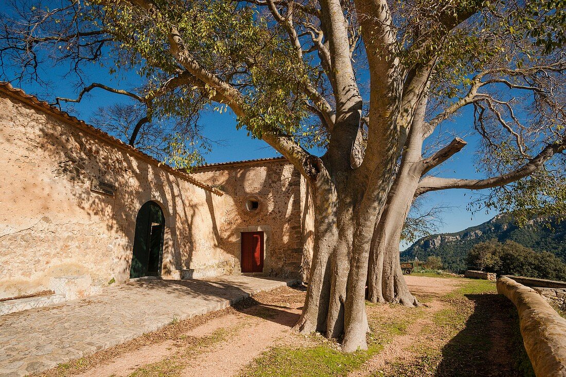 Sa Campaneta Sierra de Tramuntana Majorca Balearic Islands Spain