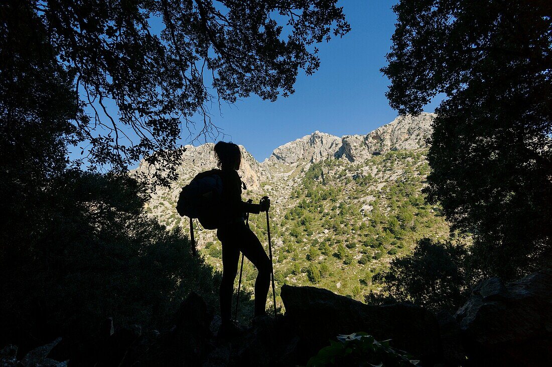 Puig De Sa Cova Carboner, 842 Meter, Tramuntana, mallorca, Balearische Inseln, Spanien, Europa