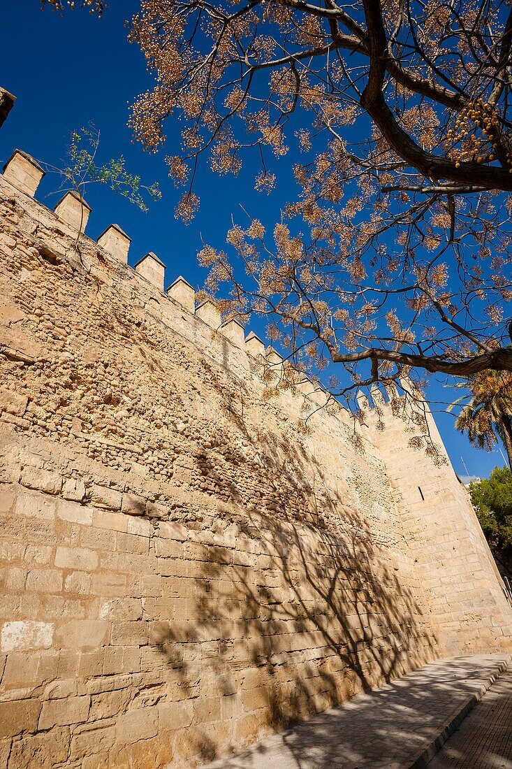 Arab wall, X-XII century, Palma, Mallorca, Balearic Islands, Spain, Europe