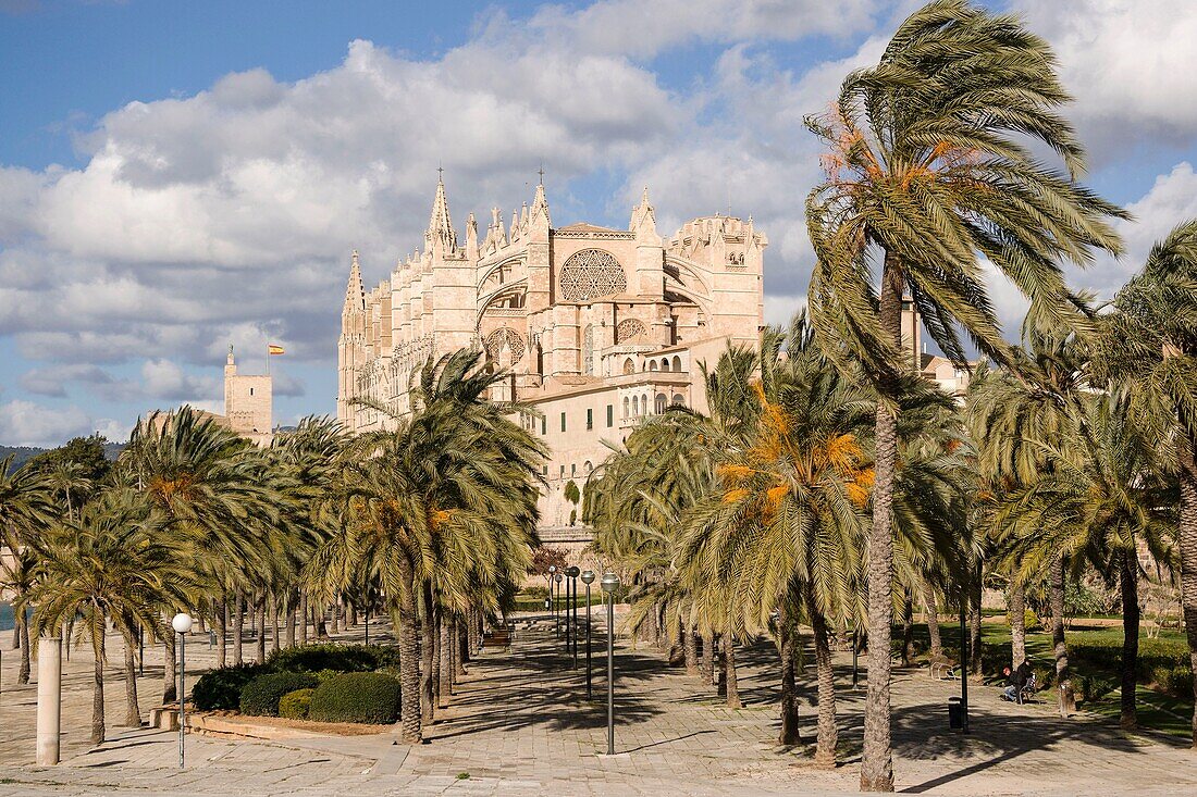 Kathedrale von Mallorca, XIII. Jahrhundert, Kunsthistorisch, Palma, Mallorca, Balearen, Spanien, Europa