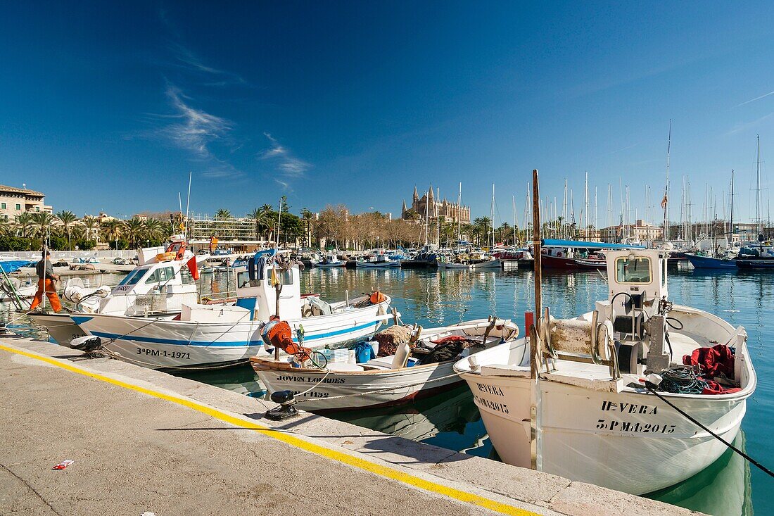 Moll de la Riba, Palma, Mallorca, Balearische Inseln, Spanien, Europa