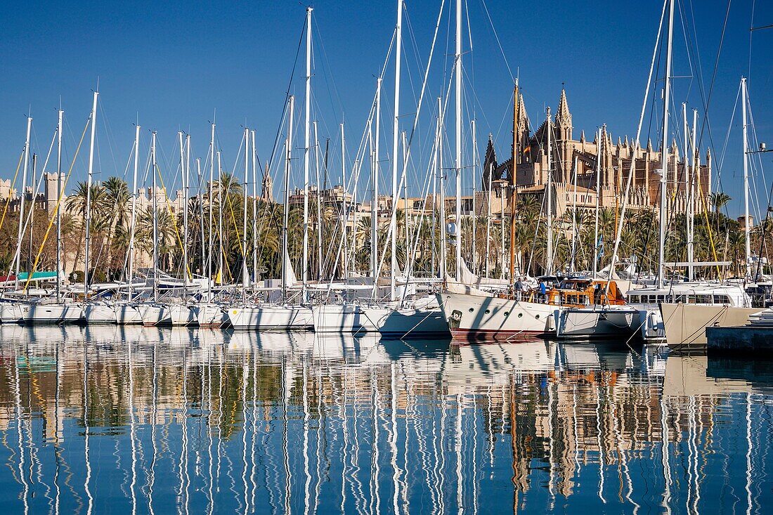 Kathedrale von Palma von Moll de la Riba aus, Palma, Mallorca, Balearen, Spanien, Europa