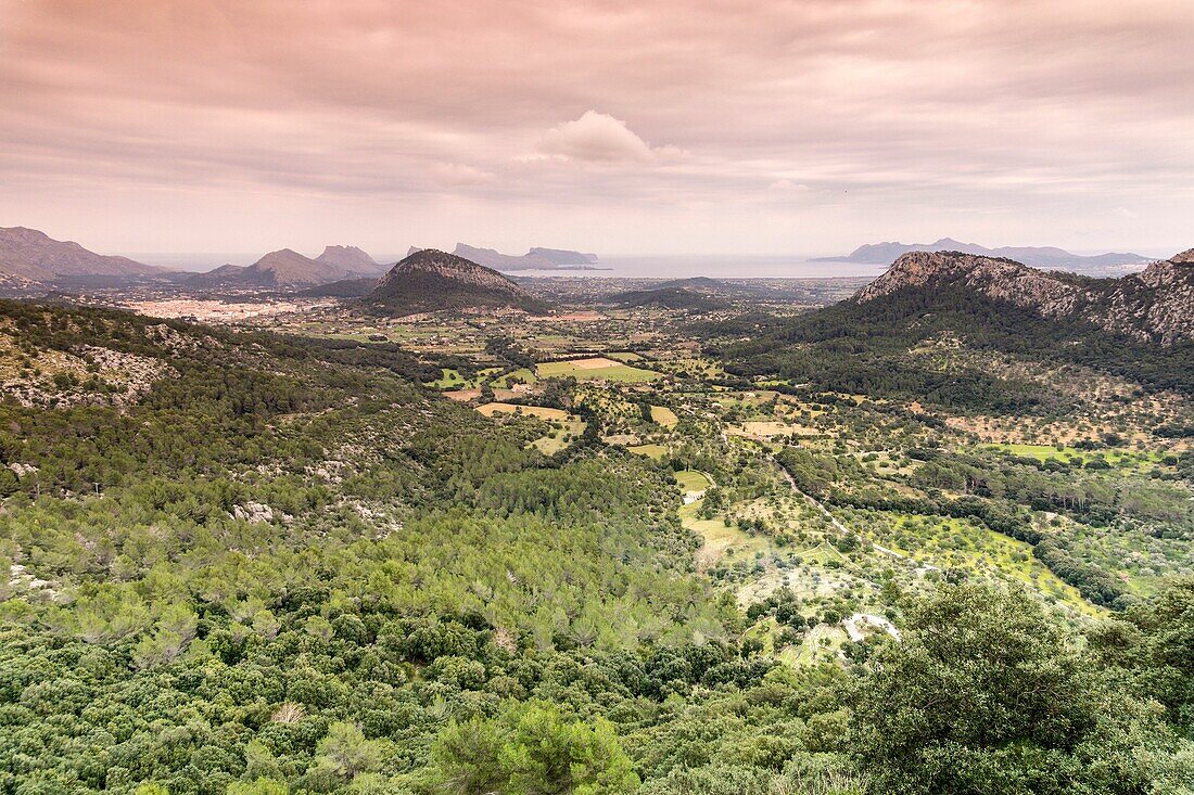 Colonya-Tal, Pollença, Sierra de Tramuntana, Mallorca, Balearen, Spanien