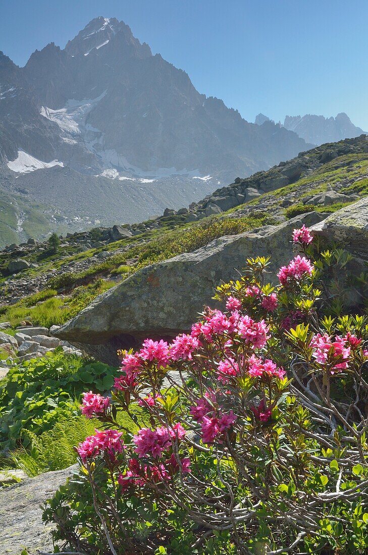 Around Argentiere Glacier, Chamonix valley, French Alps