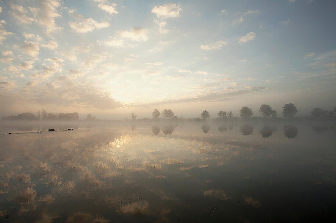 Sunrise on the Bug river  Podlasie region  Poland