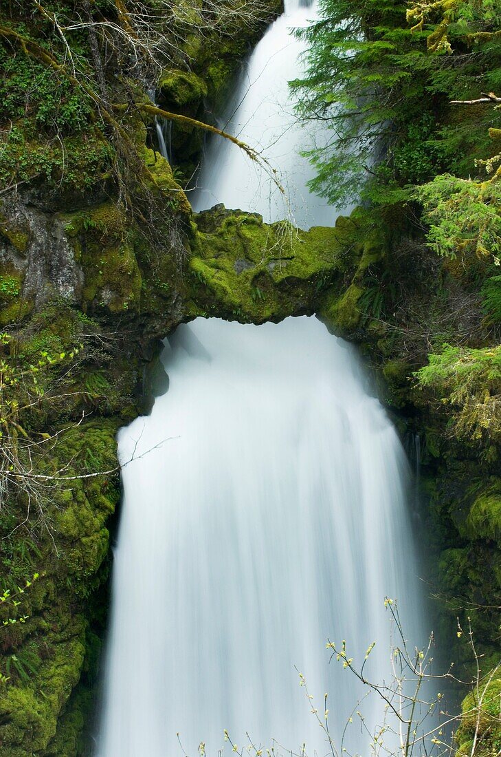 Curly Creek Falls, Gifford Pinchot National Forest, Washington