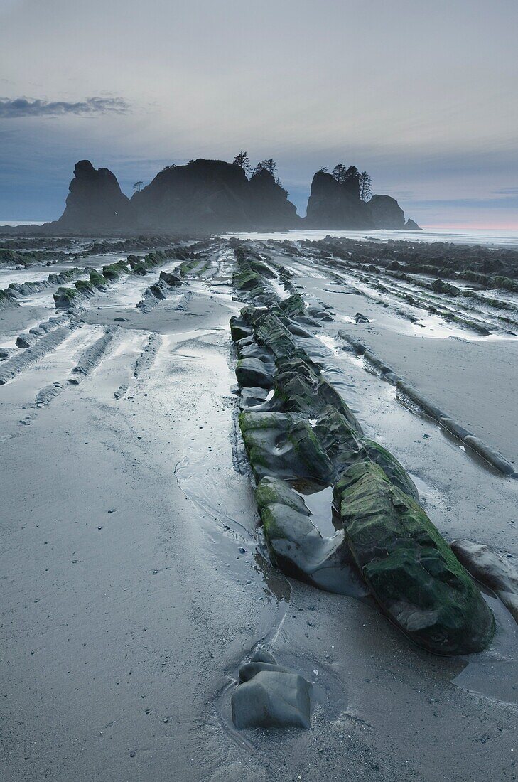 Point of the Arches and Shi Shi Beach at low tide, Olympic National Park Washington