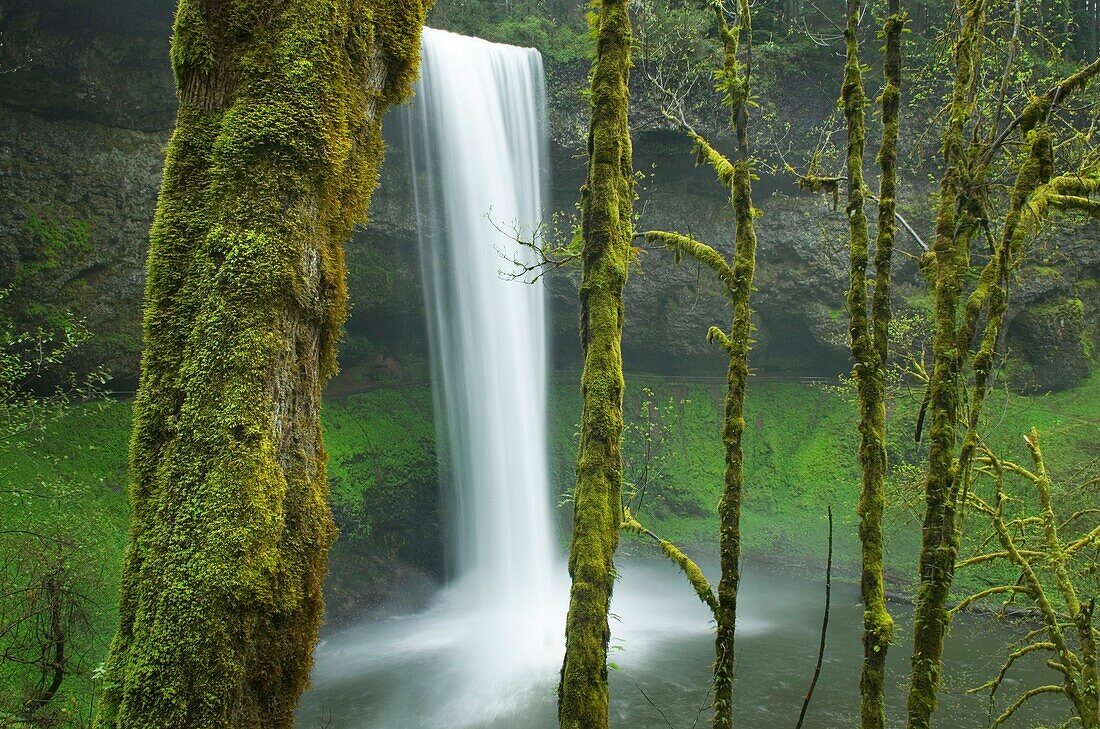 South Falls, Silver Falls State Park, Oregon