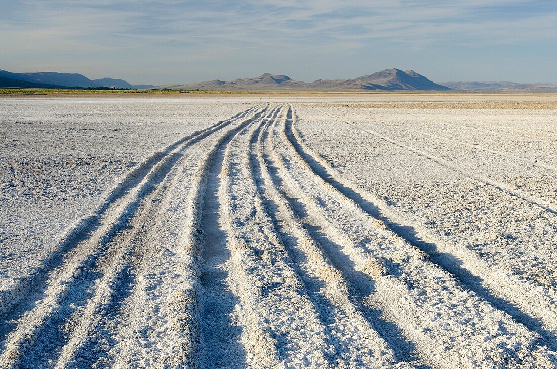 Tire tracks in dry lakebed, Alvord Desert Oregon