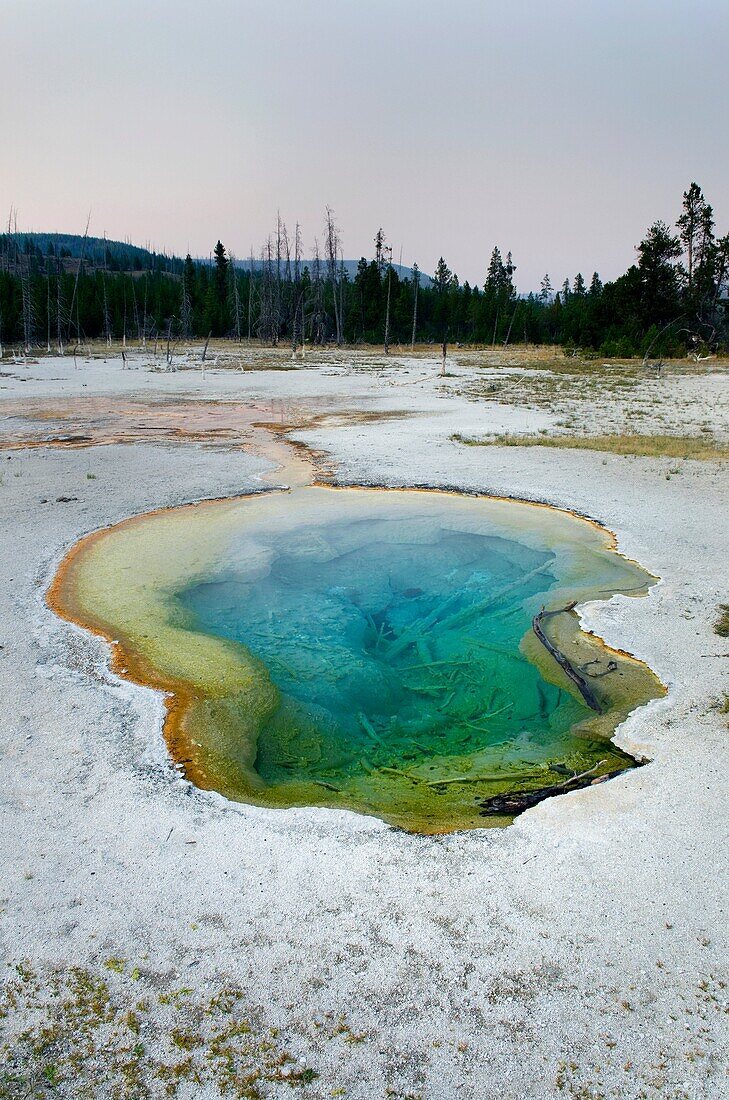 Biscuit Basin, Yellowstone National Park
