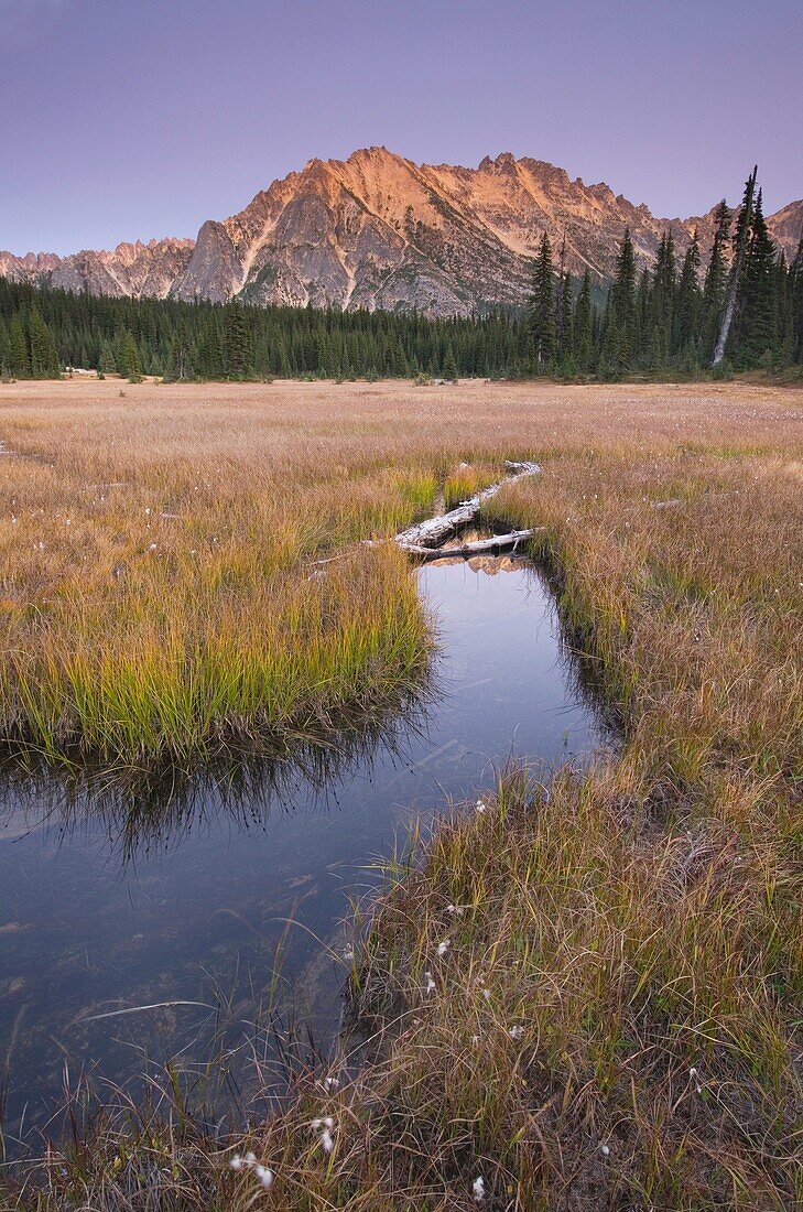 Alpenglow over Kangaroo Ridge from Washington Pass meadows, North Cascades Washington