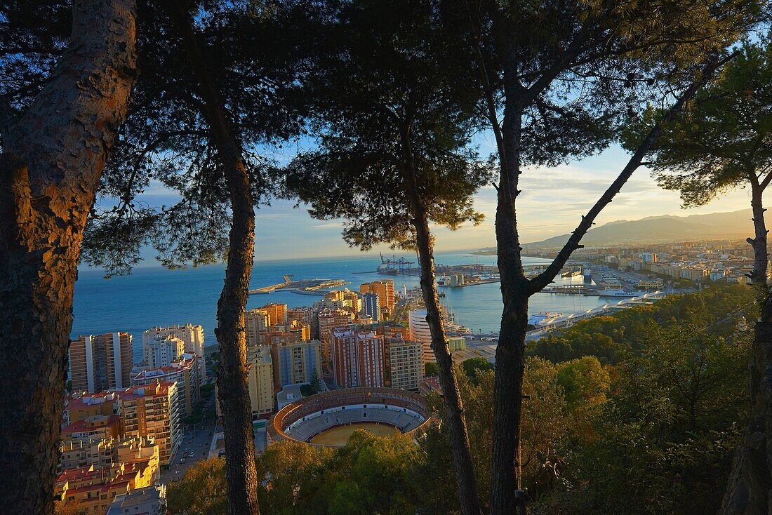 Malaga, Bullring and Port, View from Gibralfaro, Costa del Sol, Andalucia, Spain.