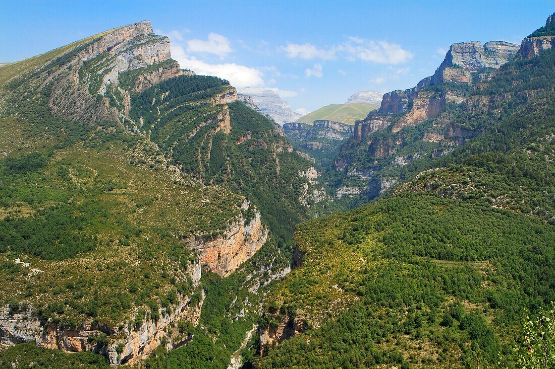 Canyon of Añisclo Valley, belonging to Ordesa y Monte Perdido National Park  Pyrenees  Fanlo  Huesca province  Aragón  Spain