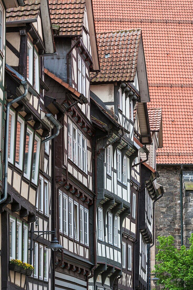 Detail of timbered houses in Hannoversch Muenden on the German Fairy Tale Route, Lower Saxony, Germany, Europe