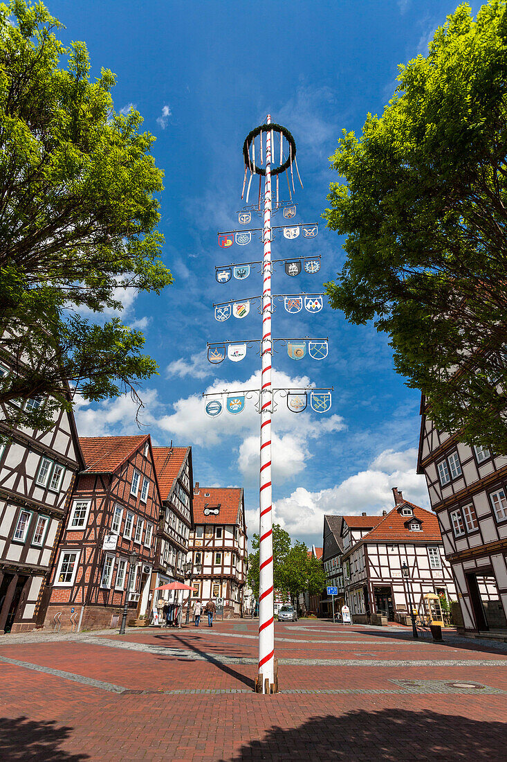 Market square in Hofgeismar with maypole on the German Fairy Tale Route, Hesse, Germany, Europe