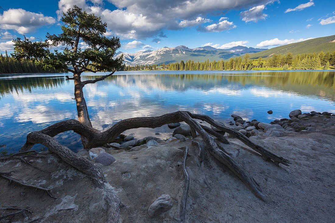 The picturesque Lake Beauvert, Jasper National Park, Alberta, Canada