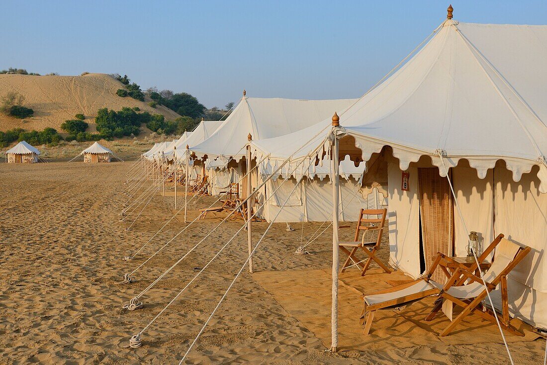 India, Rajasthan, Manwar surroundings, Manvar desert camp.