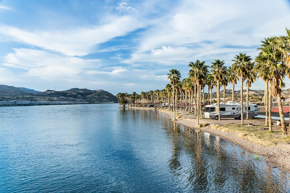 An RV campground on the shore of the Colorado River in Laughlin, Nevada, with sunshine and palm trees in winter