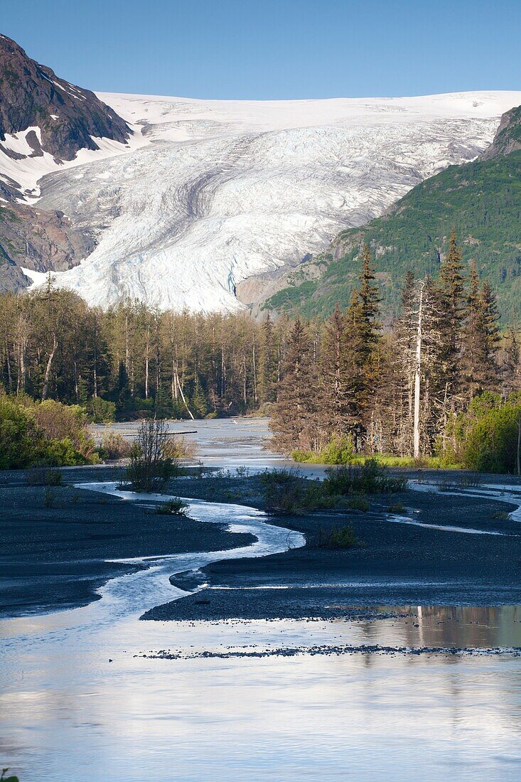 Exit Glacier, Kenai Fjords National Park, Kenai Peninsula, Alaska, U S A