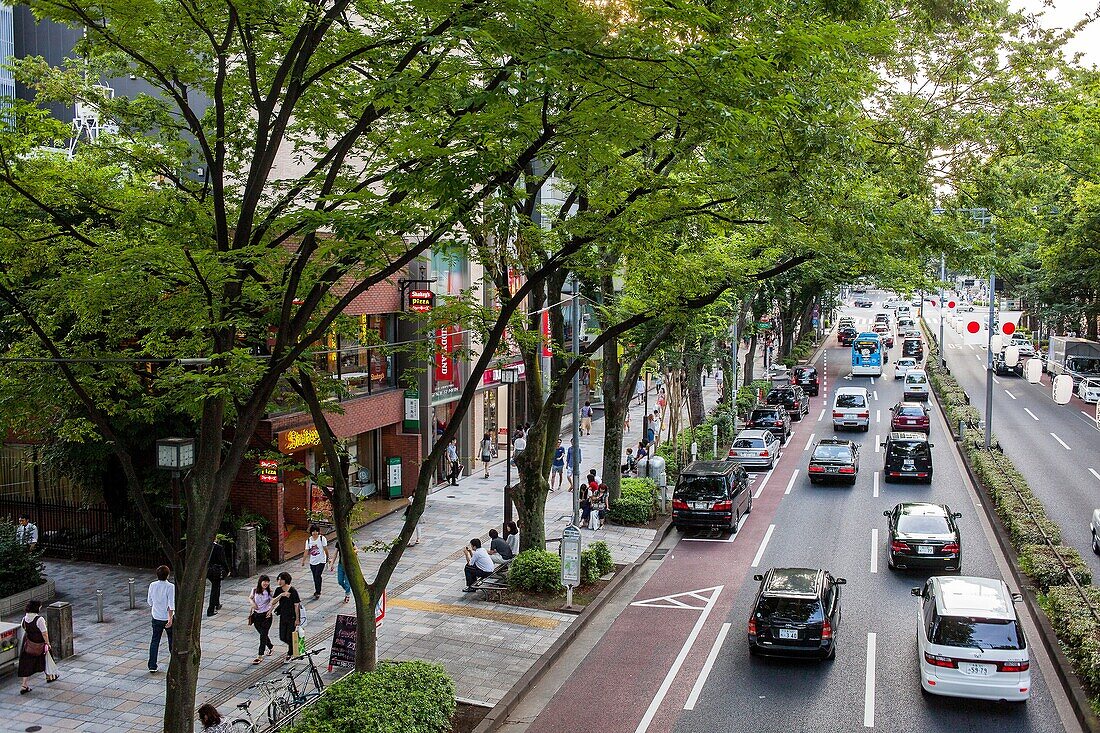 Omotesando street  Tokyo  Japan