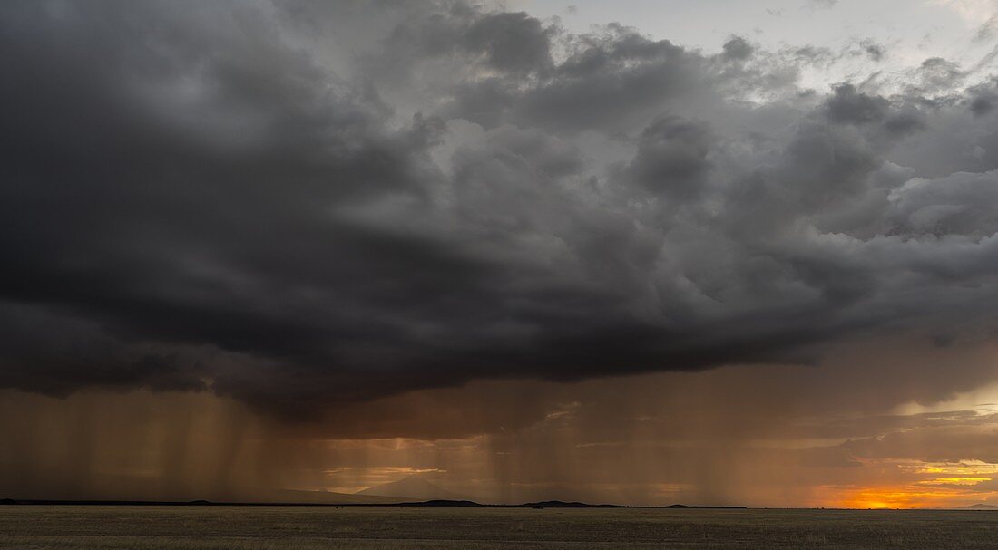 Storm over Amboseli National Park in Kenya  The storms are forming over the nearby slopes of Mount Kilimanjaro  Africa, East Africa, Kenya, Rfit Valley Province, Amboseli, December