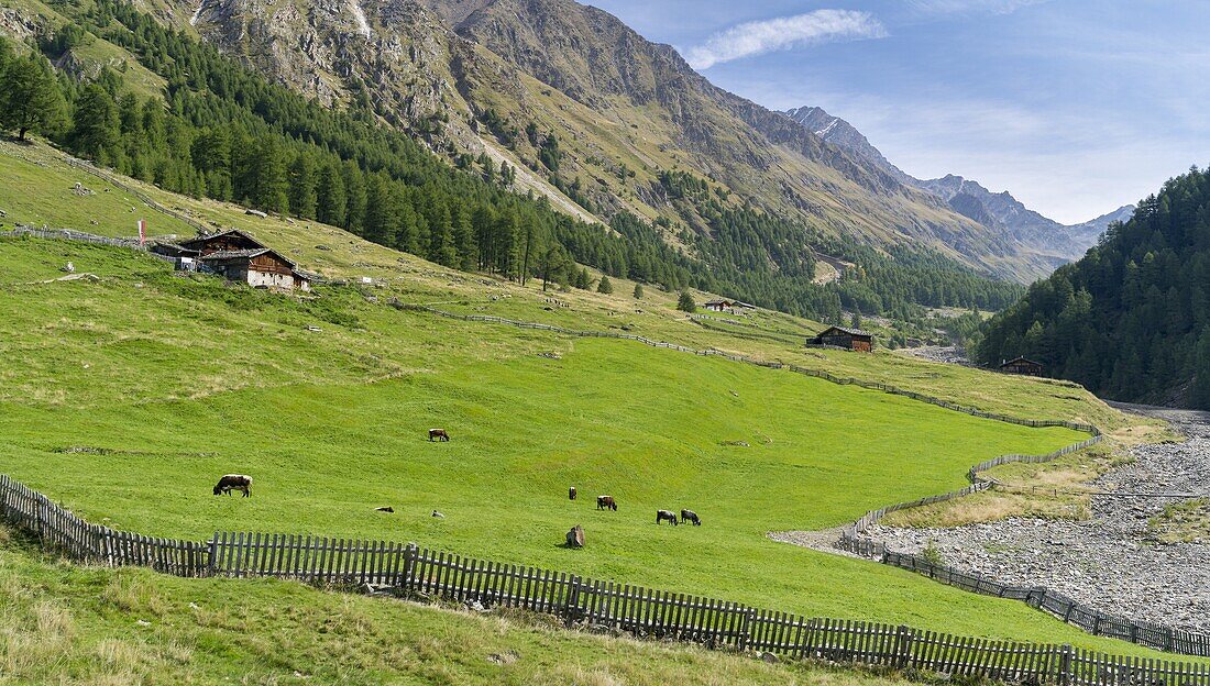 Valley Pfossental Val di Fosse between Texel or Tessa mountain range and Oetztal alps in South Tyrol  Mountain farm Mitterkaser  Europe, Central Europe, Austria, Tyrol, September