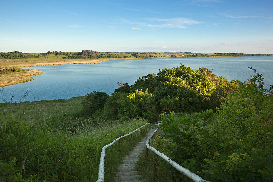 Blick über die Bucht zur Halbinsel Mönchgut, Insel Rügen, Ostsee, Mecklenburg-Vorpommern, Deutschland