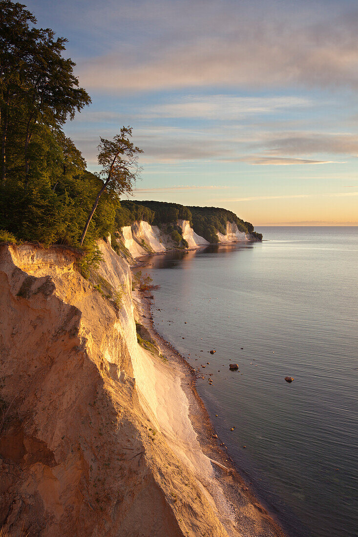 Chalk cliffs, Jasmund National Park, Ruegen island, Baltic Sea, Mecklenburg Western-Pomerania, Germany